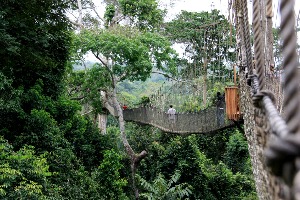 Cape Coast Historical and Beyond the Return Heritage Experience