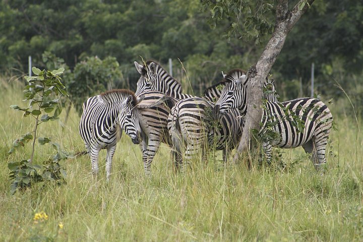 Shai hills National park(wildlife experience)